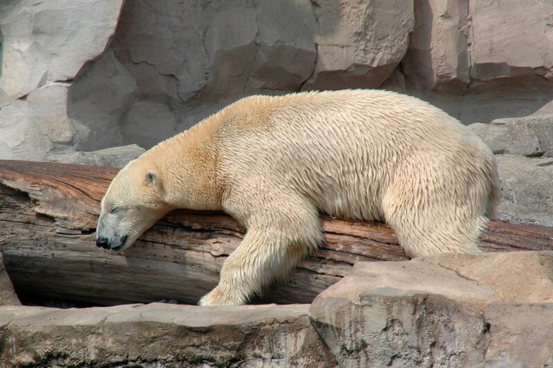 Lloyd ist vom Werben um Valeska völlig fertig. – Bild: Volkmar Strueßmann