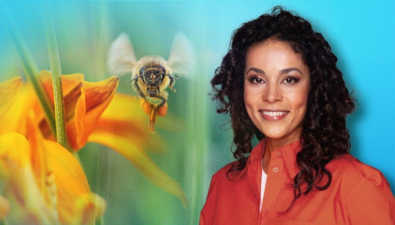 Es ist ein Pakt, gewachsen über Jahrmillionen: das Zusammenspiel zwischen Pflanzen und ihren Bestäubern. Jede Blüte lockt auf eigene Weise – immer perfekt angepasst an ihren tierischen Partner: die eine mit süßem Duft, die andere mit Aasgestank und die nächste mit beeindruckender Farbenpracht. So haben sich über die Zeit die unterschiedlichsten und faszinierendsten Blütenformen entwickelt. Viele von ihnen stellen wir uns auch gern ins Wohnzimmer. Egal ob Lilie, Gerbera oder Rose – zu haben sind sie bei uns das ganze Jahr über. Dafür sorgen Produzenten in aller Welt. Über 80% der Blumen importieren wir – aus Kenia, Ecuador, Kolumbien oder auch aus Gewächshäusern in Holland. – Florence Randrianarisoa moderiert die Sendung. – Bild: WDR/​Tilman Schenk/​IMAGO/​photo2000