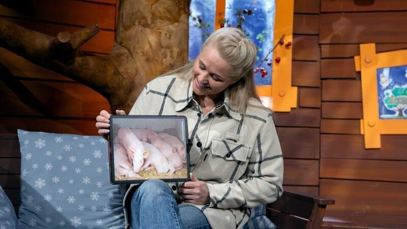 Singa bekommt ein Video von einer Zuschauerin, die echte Schweine zu Hause hat, an und schaut sich diese Tiere daraufhin genauer an. – Bild: KiKA