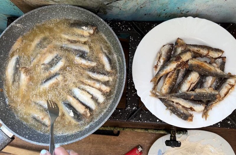 In Griechenland werden frittierte Sardinen als köstliche Vorspeise serviert. – Bild: Elephant Doc