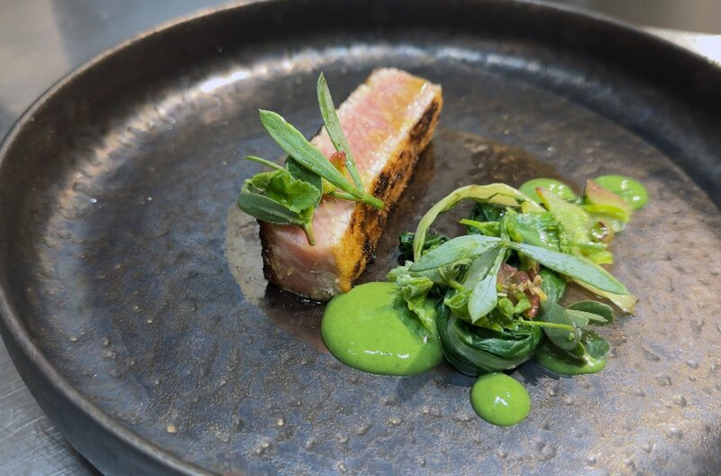 Sardiniens Star aus dem Meer: Roter Thunfisch – Bild: Elephant Doc