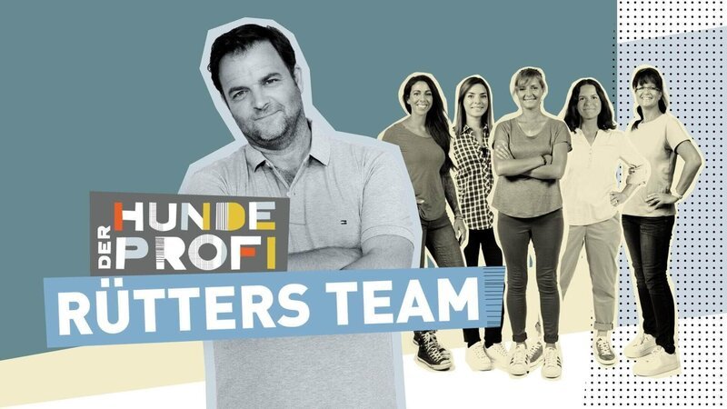 Der Hundeprofi – Rütters Team – Bild: TVNOW /​ Boris Breuer /​ Simon Veith