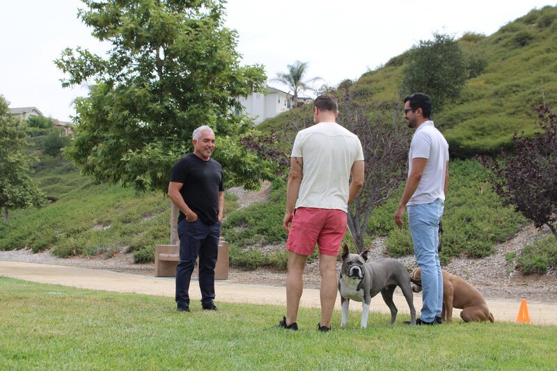 Cesar Millan (l.) – Bild: NGC Network US, LLC.
