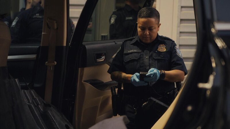 Bild: Stampede Productions Ltd