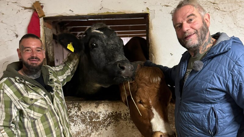 Steve Staub (l.) und Ralf Seeger – Bild: RTL /​ Docma TV /​ Christian Neumann /​ Einsatz auf dem Gnadenhof