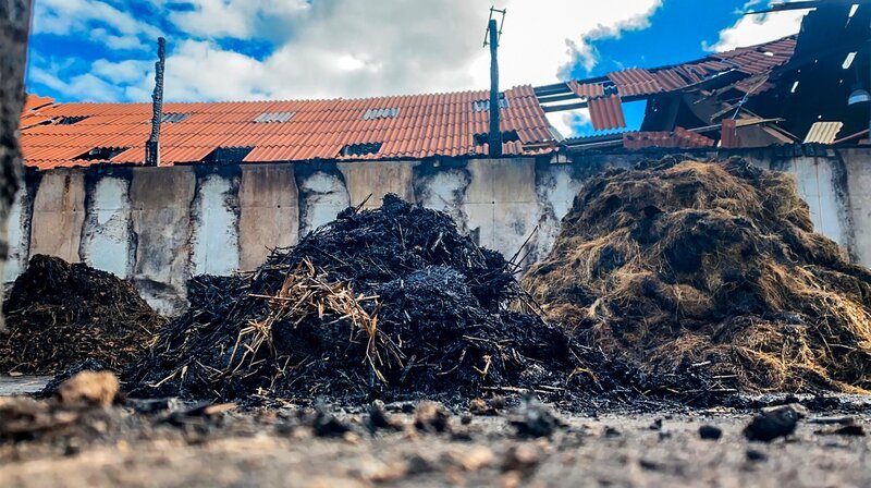 Landwirt Daniel Wehmeyer kann es auch zwei Wochen nach dem Großbrand nicht fassen, der Stall für sein Harzer Höhenvieh ist eine Ruine. – Bild: NDR