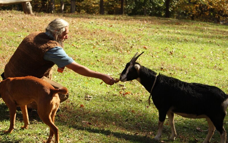 In der Wildnis von North Carolina bereitet Eustace Conway sich und seine Tiere für den Winter vor. – Bild: CH Media