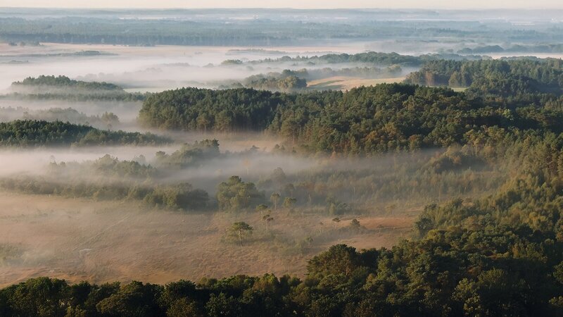 Der New Forest Nationalpark liegt im Süden Englands und blickt auf eine tausendjährige Geschichte menschlicher Besiedlung zurück. – Bild: ZDF und arte, Martin Koddenberg