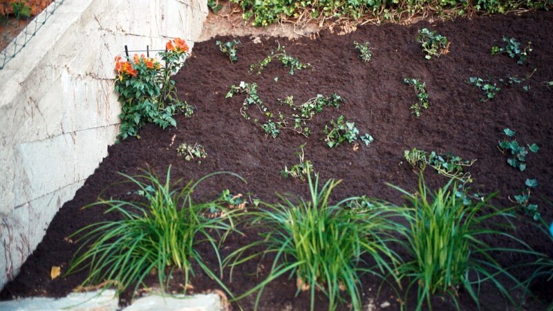 „GartenKULT“, „Der Hanggarten.“ Mühevolle Aufstiege, schwierige Bepflanzungen: Gartenprofi Josef Starkl und Moderatorin Katharina Gritzner zeigen vielfältige Möglichkeiten, Treppen, Terrassierungen und Bepflanzungen im starken Gefälle anzulegen und geben praktische Tipps. – Bild: ORF/​STARKL!film