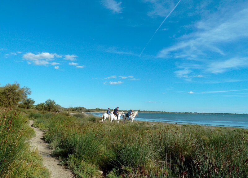 Ausritt in die Camargue. – Bild: SR/​Maria C. Schmitt