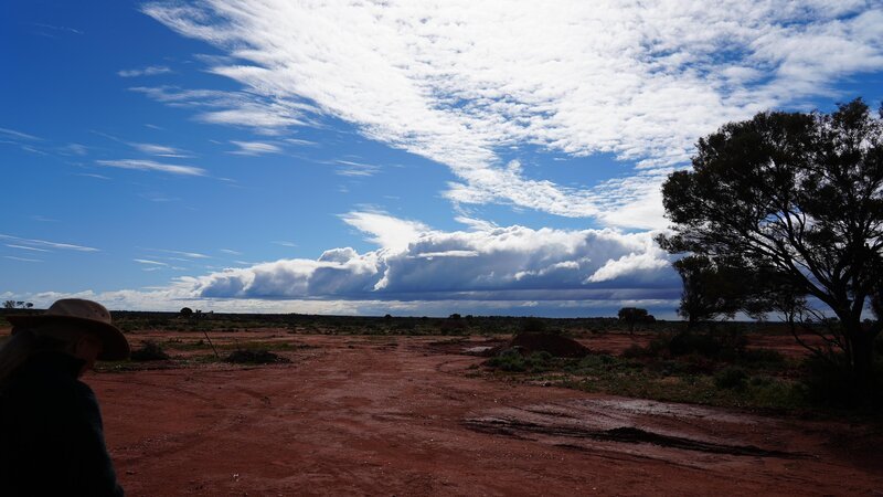 Bild: Electric Pictures Pty Ltd