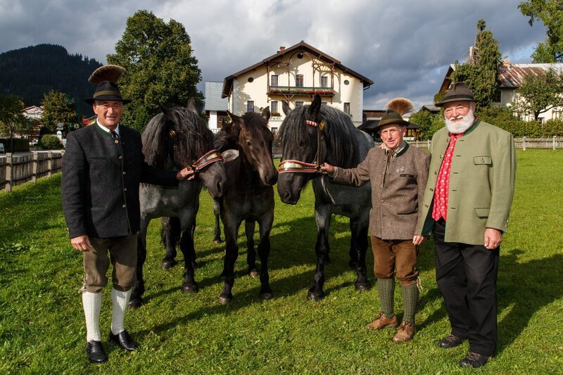 Sepp Forcher beim Postwirt und Noriker-Pferden. – Bild: ORF/​Anton Wieser