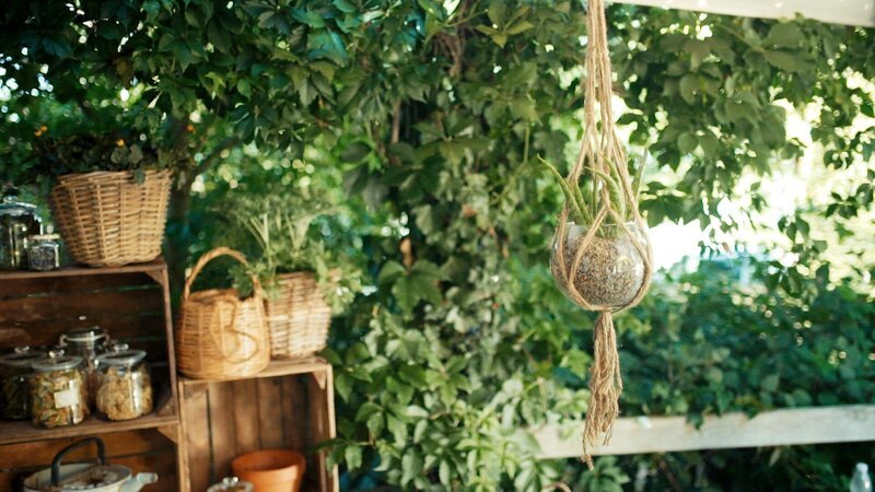 „GartenKULT“, „Der Heilgarten.“ Egal ob Bauchweh, Kopfschmerz, rissige Lippen oder Migräne, für jeden Schmerz hat die Natur ein Kraut wachsen lassen, das die Beschwerden lindern kann. Gartenprofi Josef Starkl und Moderatorin Katharina Gritzner zeigen in einer Folge von „GartenKULT“, wie es geht. – Bild: ORF/​STARKL!film