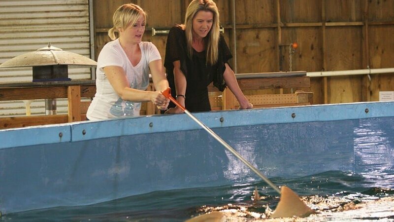 Shelley final exposure. – Bild: Discovery Communications