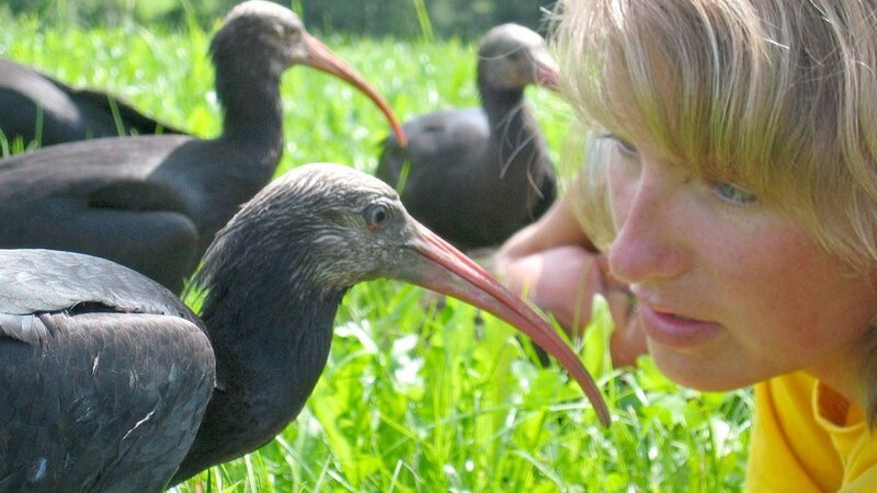 Waldrappe und Ziehmutter Martina Schiestl. – Bild: ZDF und ORF, Manfred Christ; Cosmos Factory