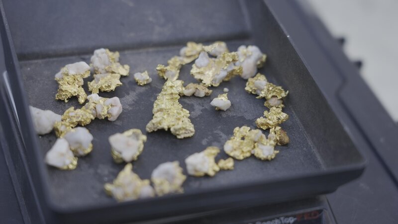 Bild: Electric Pictures Pty Ltd