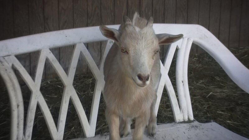 . – Bild: Warner Bros. Discovery