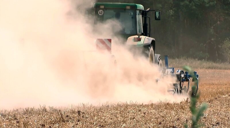 Mit mehr als 250 Kilometern pro Stunde rast am Pfingstmontag ein Tornado durch die kleine Stadt Mühlberg im Süden Brandenburgs. Dächer werden abgedeckt, Bäume knicken um wie Streichhölzer, es herrscht Ausnahmezustand. Die Meteorologen Dr. Katja Horneffer und Donald Bäcker blicken auf die spektakulärsten Wetterereignisse der vergangenen Jahrzehnte in Brandenburg. – Dürre im Jahrhundertsommer in Brandenburg. – Bild: rbb