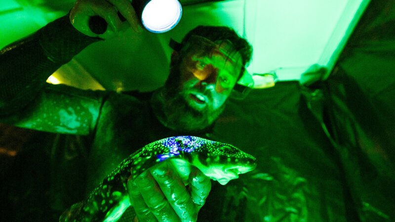 Forrest holding a puffadder shyshark under UV light #2 – Bild: Warner Bros. Discovery, Inc. or its subsidiaries and affiliates