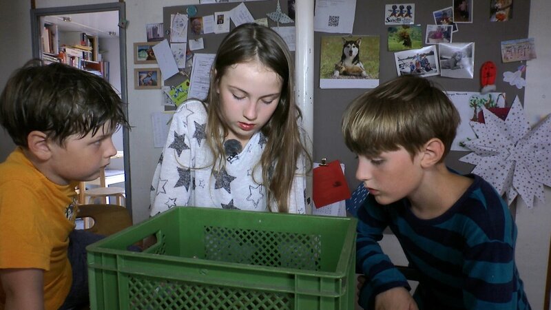 Baldur, Etmia und Odilo beobachten die Entenküken beim Schlüpfen. – Bild: rbb/​Klaus Tümmler/​CONDOR Filmproduktion Berlin