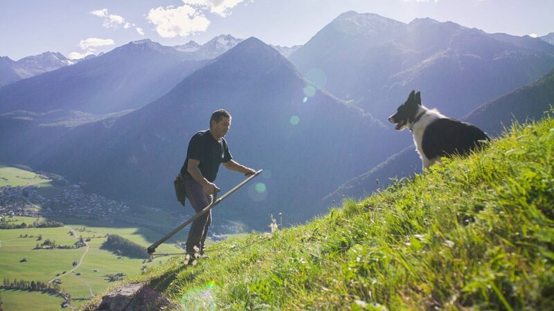 Auf der Alm passt der Hund der Falkners auf alles auf – Bild: ServusTV /​ Südkino