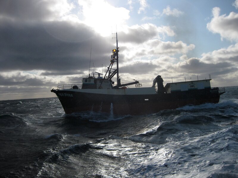 Sea Star. – Bild: Discovery Communications