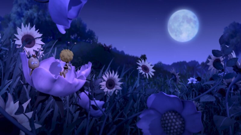 Maja und Willi sehen zum ersten Mal den Sternenhimmel. – Bild: ZDF und Studio 100 Animation