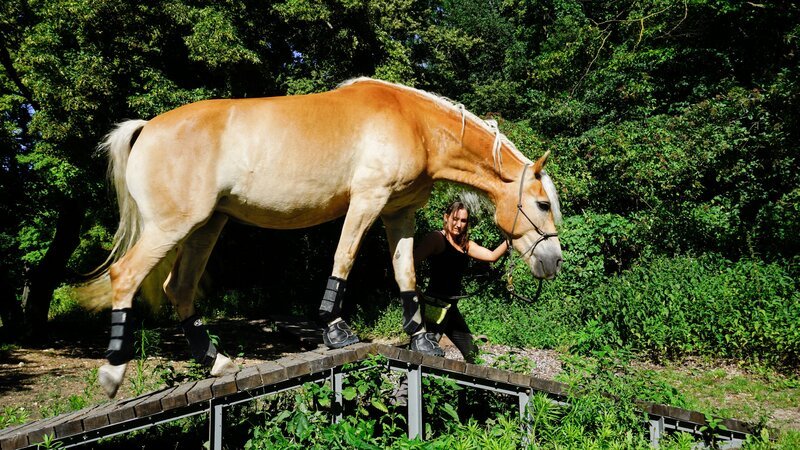 Extrem-Trailing – Bild: MGTV