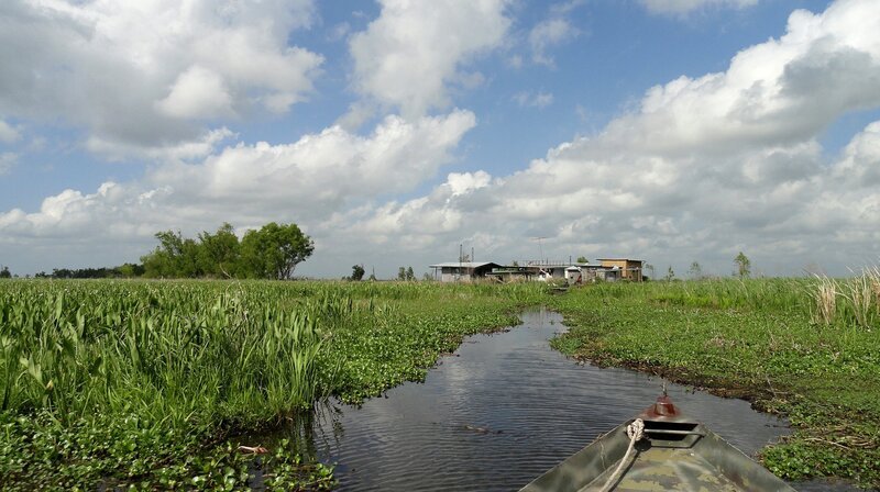Der Bayou in den Sumpflandschaften des Mississippi-Mündungsdeltas. – Bild: NDR/​National Geographic Channel/​Whitney Beer-Ker