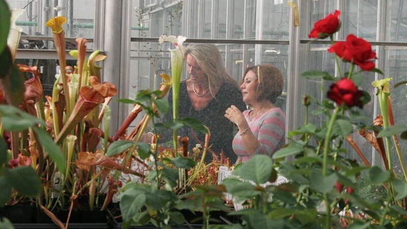 Jackie final exposure. – Bild: Discovery Communications