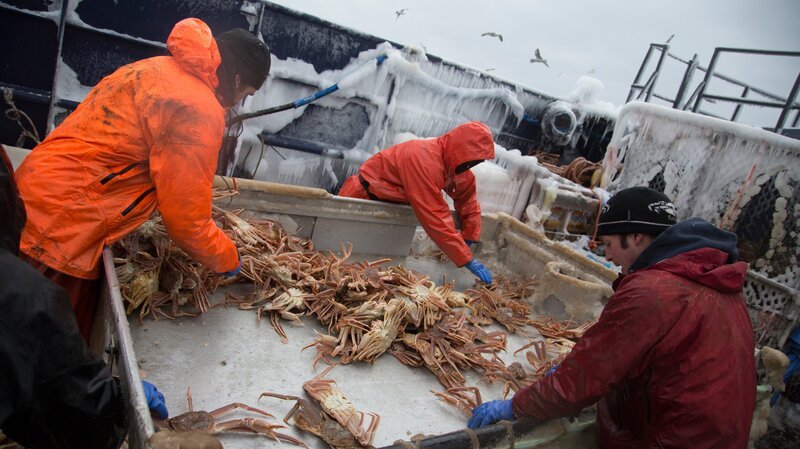 Northwestern crew is struggling – Bild: Discovery Communications/​Josh Thomas