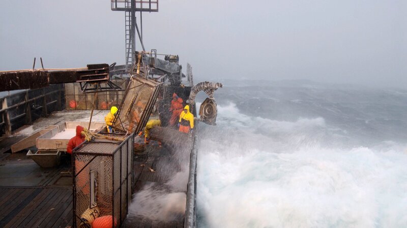 Bild: Dioscovery Communications