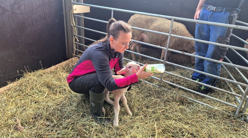 Michaela Grabherr füttert ein Lamm auf dem Schäflehof. – Bild: BR/​Katarina Schickling