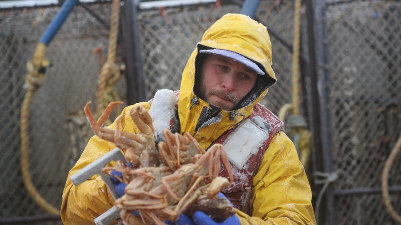 Deckhand Aaron Steiner sorting Opilio Crab. – Bild: Discovery Communications
