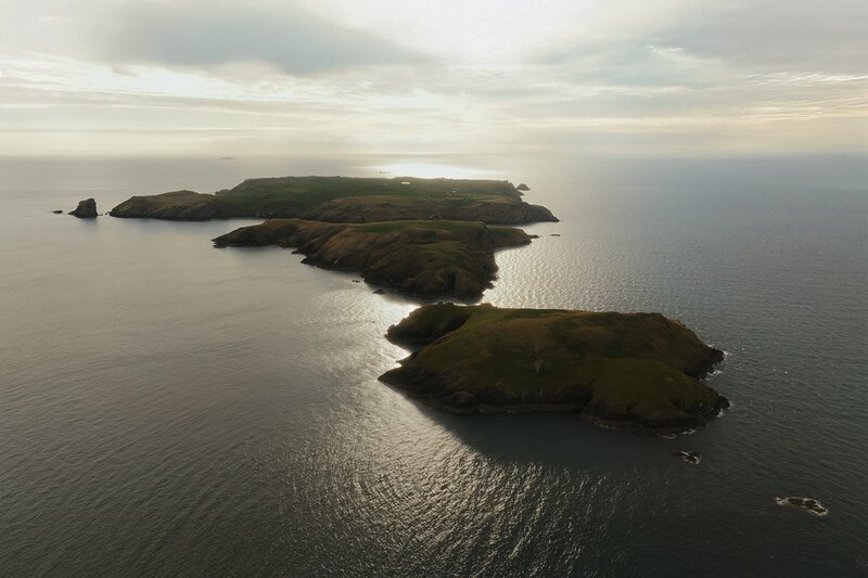 Vor der Küste von Pembrokeshire liegt Skomer Island. Die Insel ist ein Vogelschutzgebiet, in dem Trottellummen, Tordalke, Kormorane, Heringsmöwen und viele andere Seevögel nisten. – Bild: ZDF und arte, Martin Koddenberg