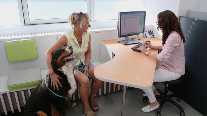Susanna Rohde mit ihrem Berner Sennen Balou, der operiert werden muss. – Bild: NDR/​Doclights GmbH