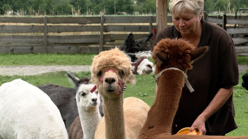 Alpakas Wirtin Anita Öttl, Gasthaus Mellauner in Pettnau. – Bild: Verlagshaus Hans Jöchler