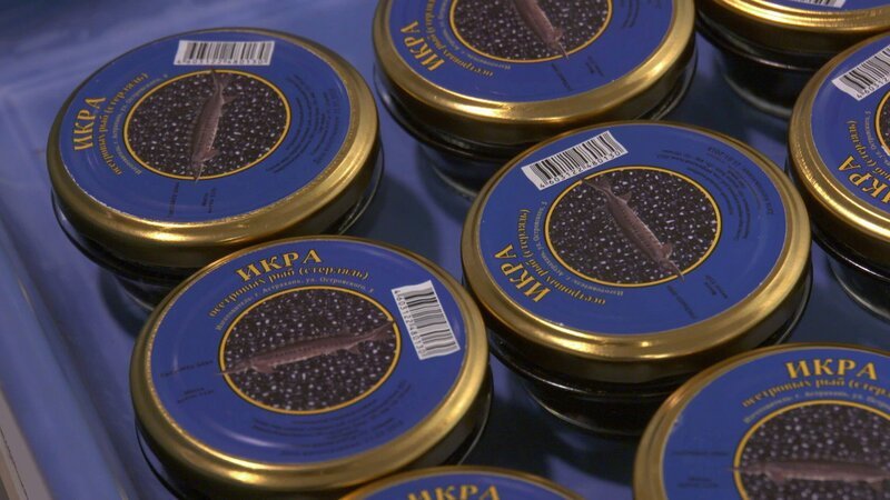 Border Control – Bild: CINE NATURALEZA Y TELEVISION S.L /​ Discovery Communications.