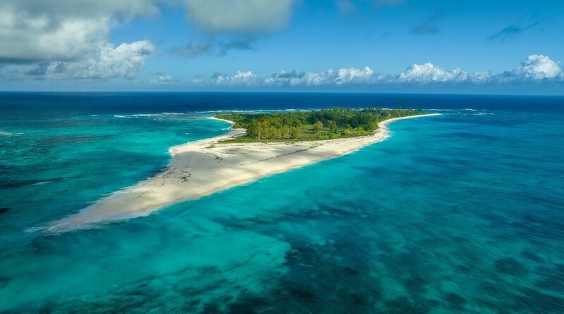 Ihren Namen ‚Vogelinsel‘, trägt sie zurecht: Über eine Million Rußseeschwalben brüten auf Bird Island in einer riesigen Kolonie. – Bild: NDR/​Martina Andrés