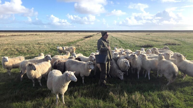Jürgen Wolf-Diedrichsen hält seit 20 Jahren Schafe. Jedes seiner Tiere ist ihm ans Herz gewachsen. – Bild: NDR/​Doclights GmbH