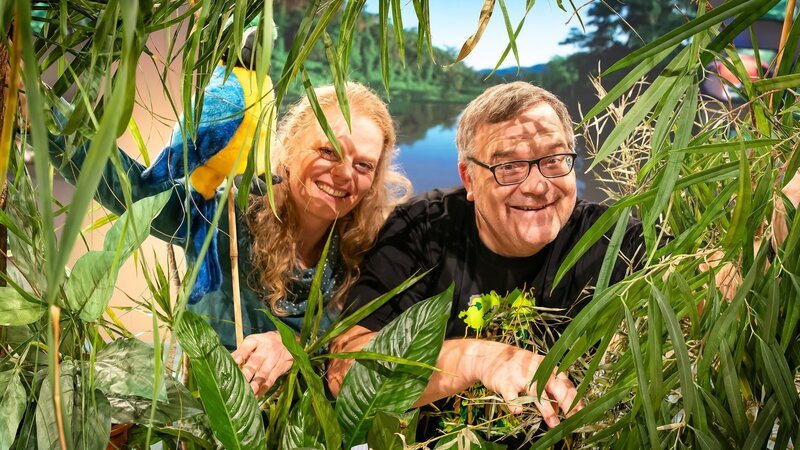 Elton pirscht mit Expertin Annelie Fincke durch den wilden Amazonas-Regenwald. – Bild: ZDF und Ralf Wilschewski