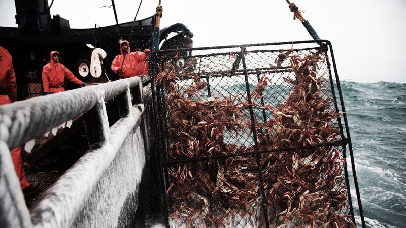 Bild: Dioscovery Communications