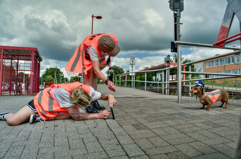 Bühne frei für Polly: Fränzes Dackel ist Sonder-Botschafterin der AKN Eisenbahn in Schleswig-Holstein. – Bild: NDR/​blend film