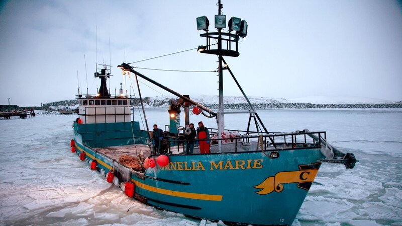 Bild: Dioscovery Communications