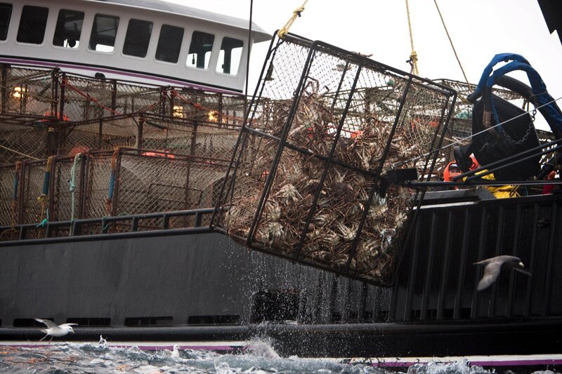The Time Bandit and its crew work to catch King Crab on the Bering Sea during King Crab season on Deadliest Catch season six. – Bild: Rick Gershon /​ Reportage by Getty Images /​ Discovery Communications LLC