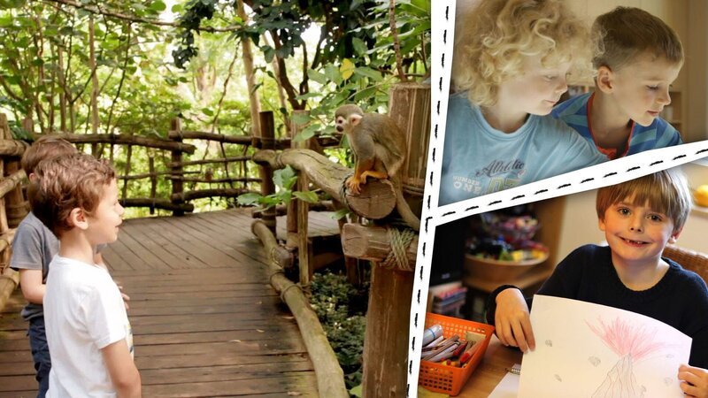 Kinder malen und basteln zum Thema Dschungel. – Bild: KiKA/​Motion Works GmbH