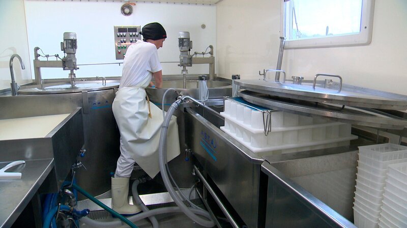 Eine Käserei auf Rädern – die mobile Käserei fährt zu Höfen in MV. – Bild: NDR