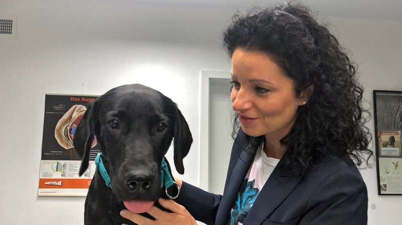 Der erst sechs Monate alte Ivan läuft wie auf Eiern. TV-Moderatorin Kerstin Scherer bangt der unvermeidlichen OP entgegen. – Bild: NDR/​Doclights GmbH 2020