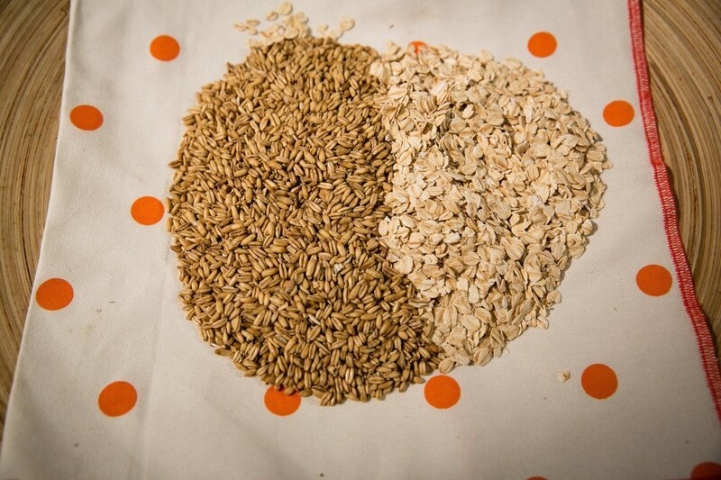 Hafer. – Bild: ORF 1