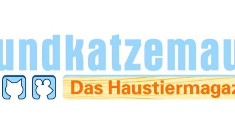 Das Logo zur Sendung – Bild: TVNOW